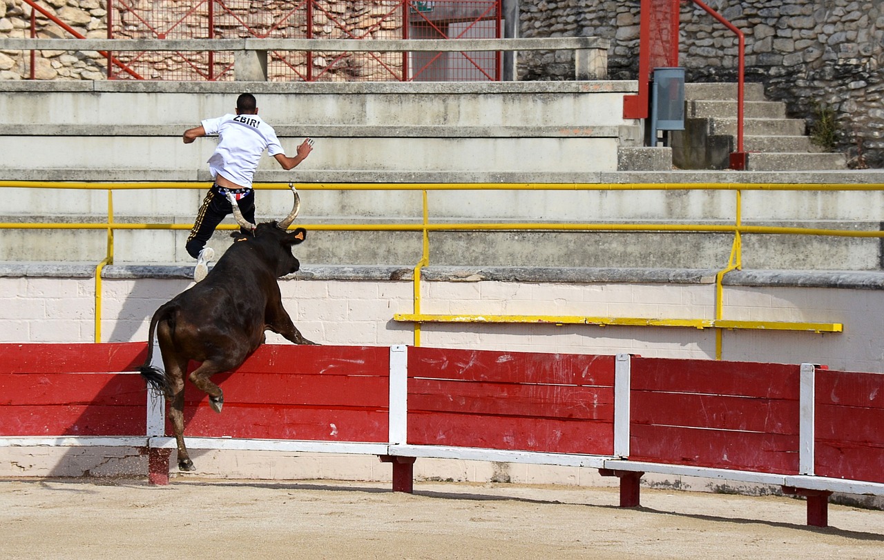 意甲第14輪國際米蘭6-1博洛尼亞 國米狂勝對手 狀態回來了.