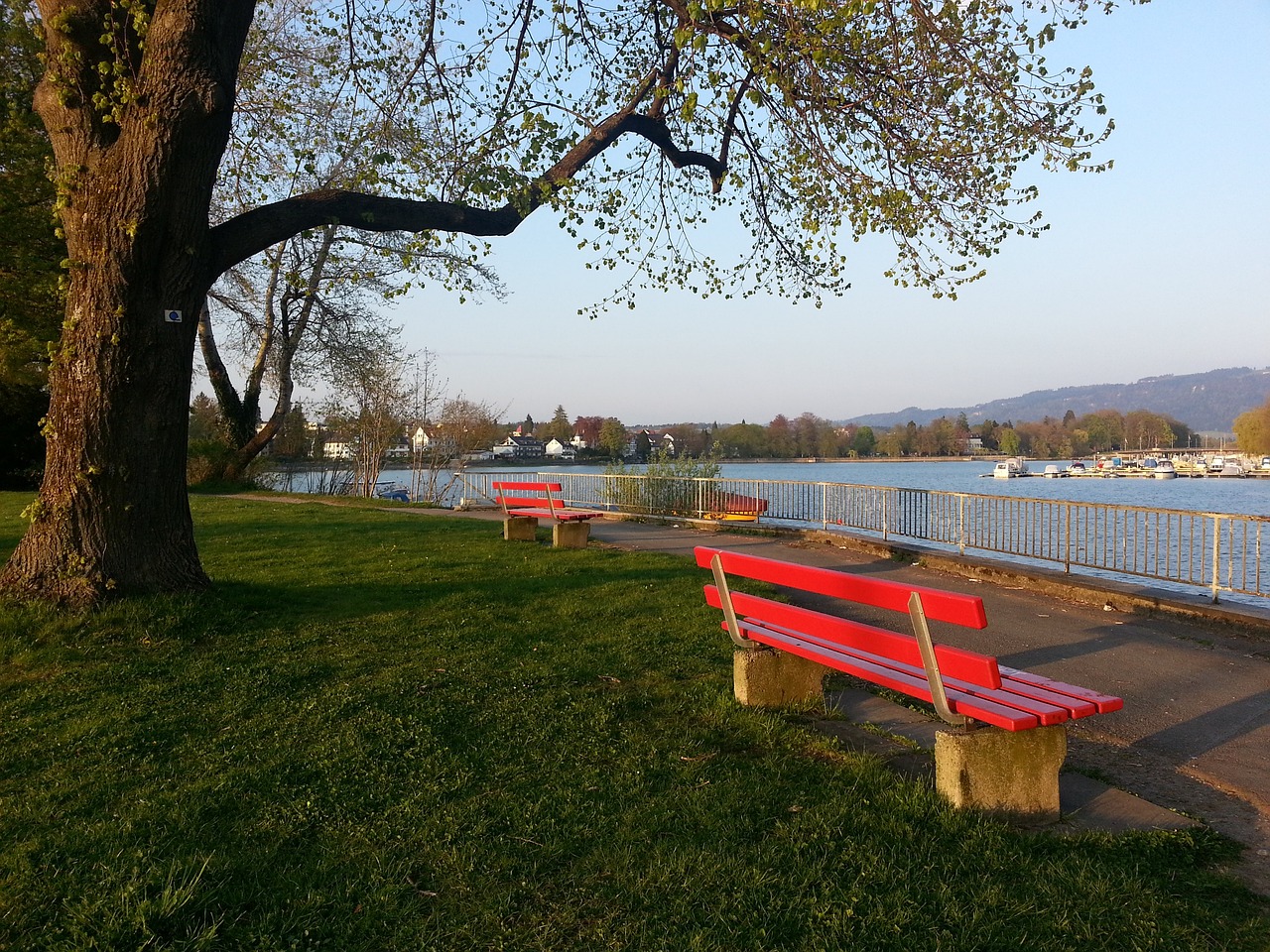 各大赛事并 各大赛事并