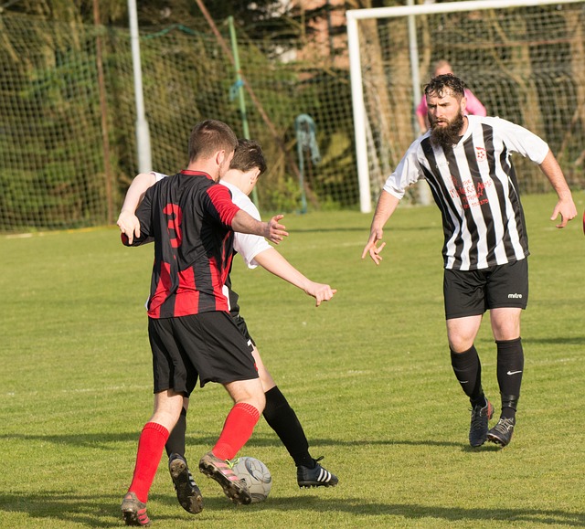 队凝聚力和 队凝聚力和