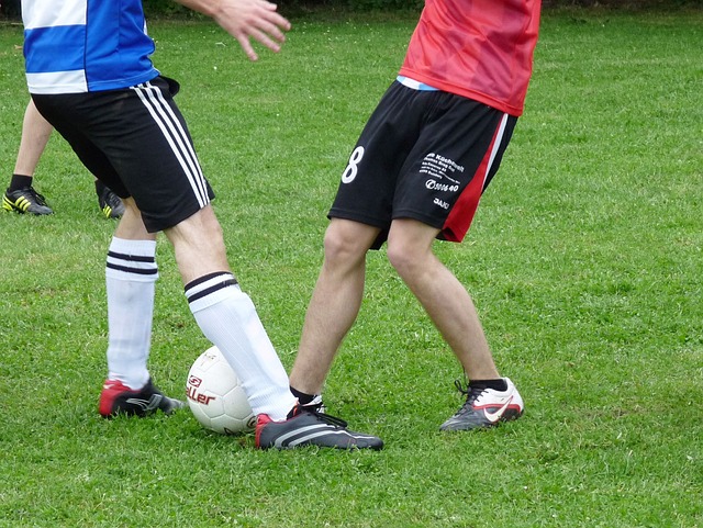 施罗德等人 施罗德等人