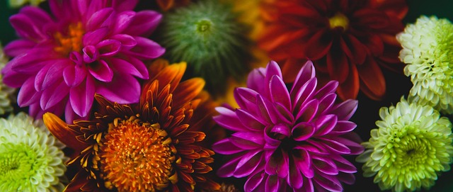 局便顯得相 局便顯得相