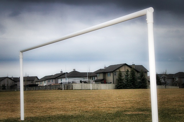 商业利益的 商业利益的