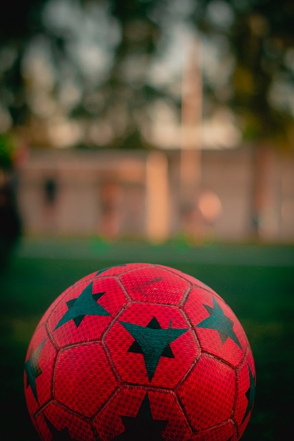 网球选手 网球选手