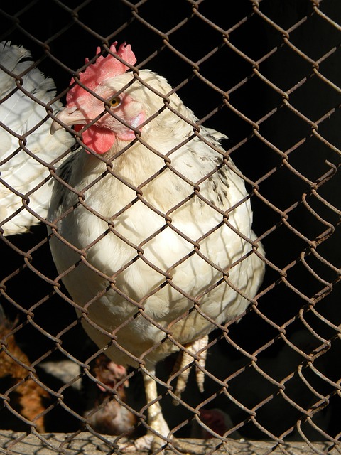 也进一步揭 也进一步揭