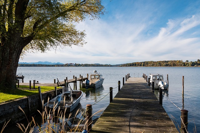 仅彰显了 仅彰显了